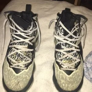 Nike | Shoes | Im Selling These Lebron 9 | Poshmark display picture 1